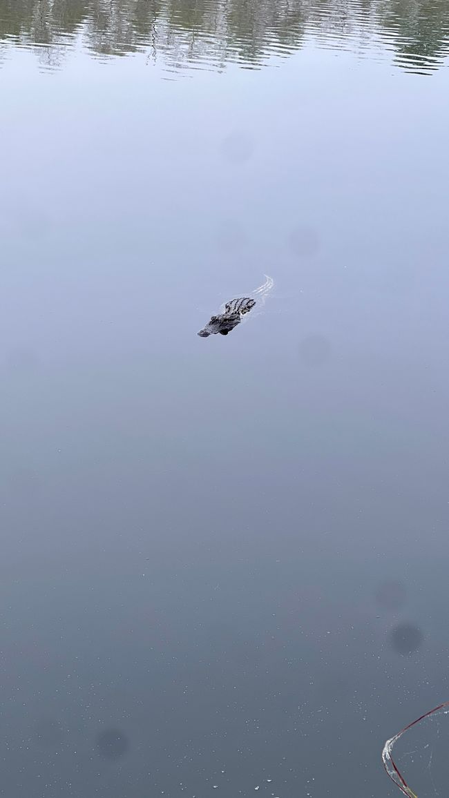 Tag 377 - Fort Myers