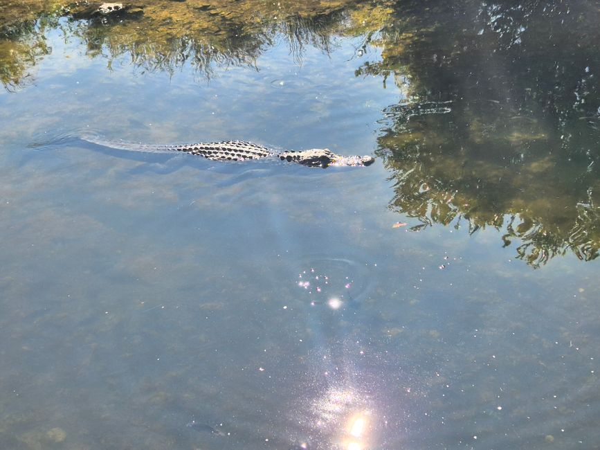 Dag 14: Naar Florida City