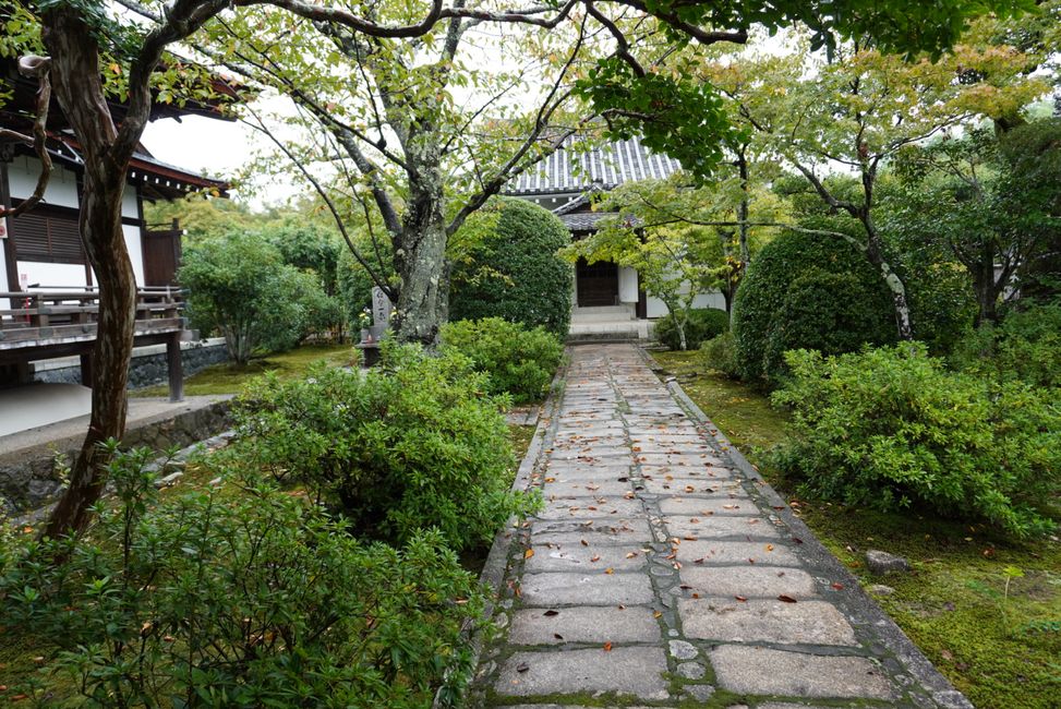 Gartenbesichtigung im regnerischen Kyoto