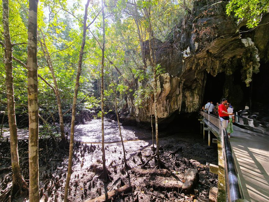 Kilim Forest Park