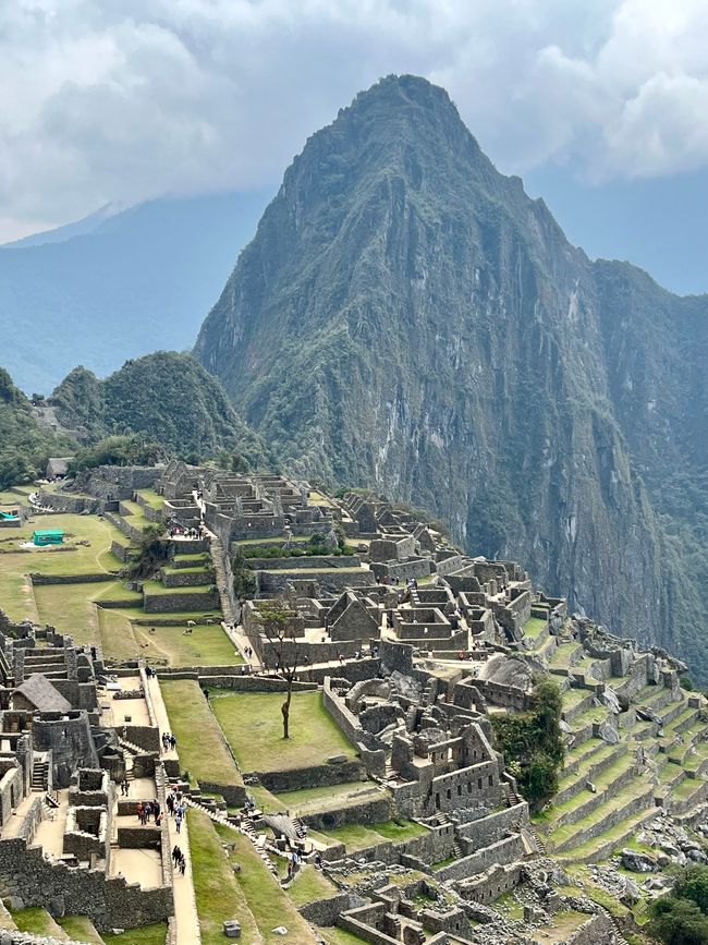 Vista