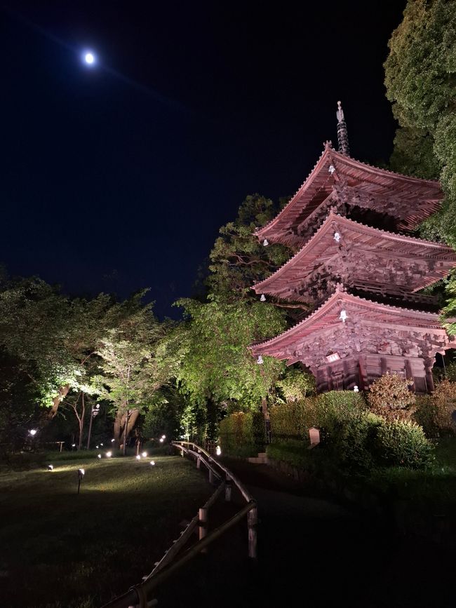Beautiful Tokyo