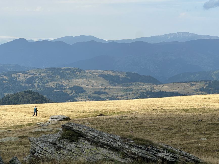 Wieder wandern wir komplett alleine