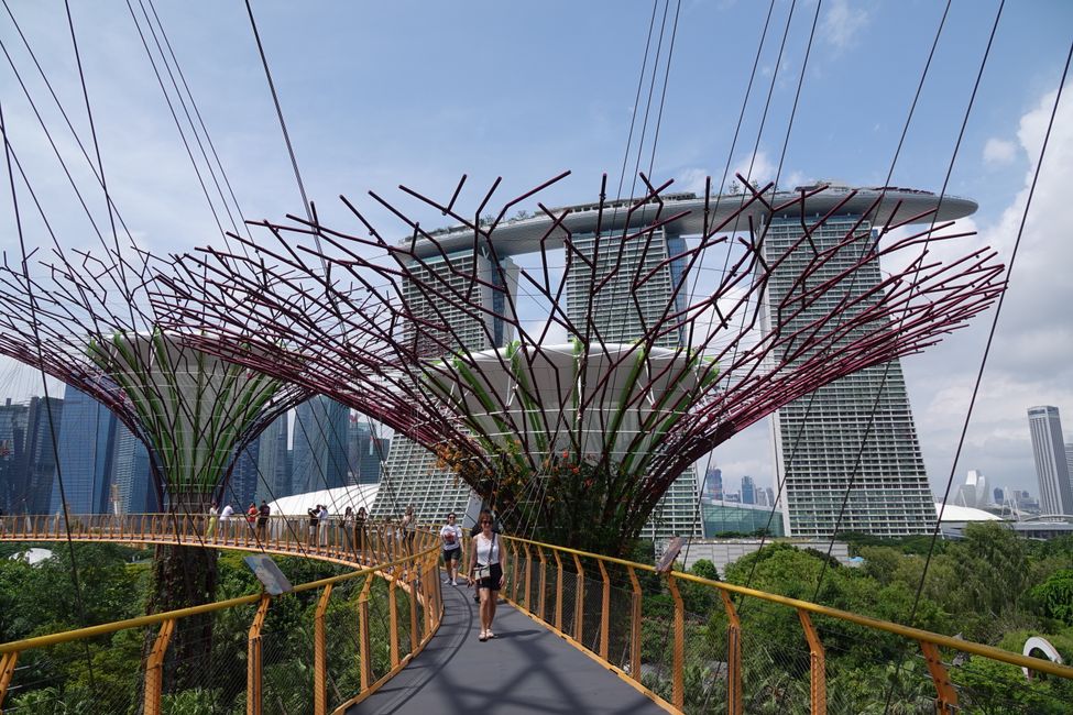 Conclusion Singapour ....