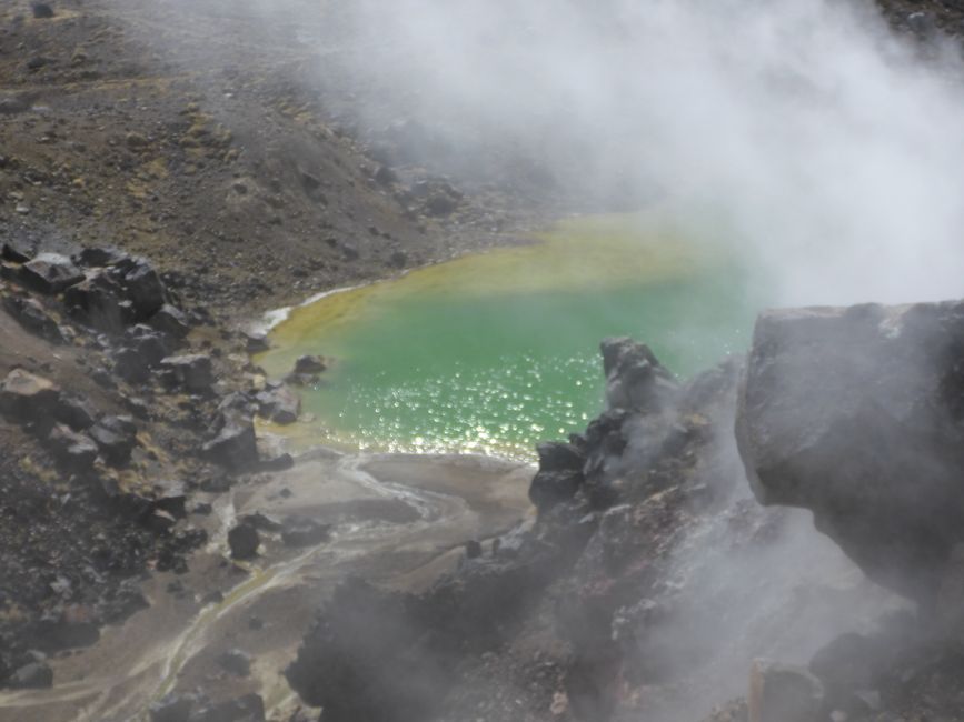2025-03-29 Tongariro, Timber Trail and ...