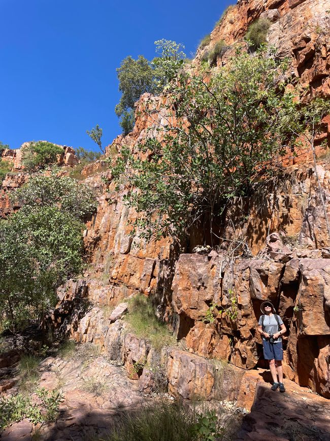 Sur le chemin vers l'Amalia Gorge