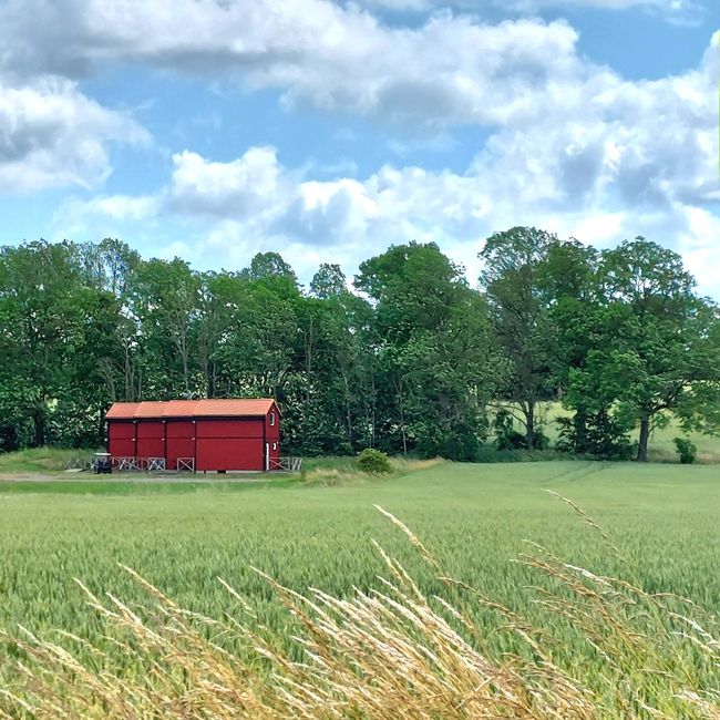 Südschweden-Tour - Tag 23
