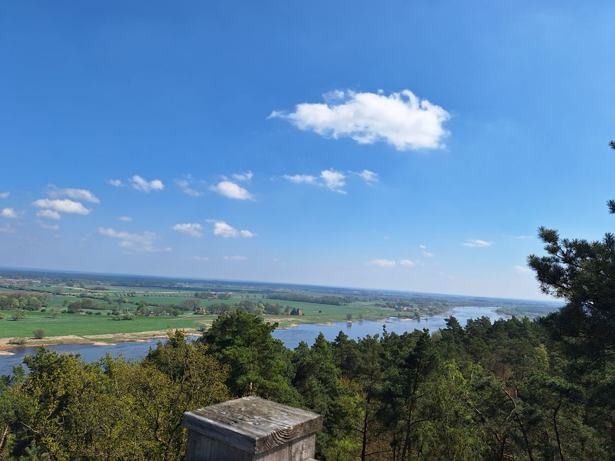 Excursión a Hitzacker