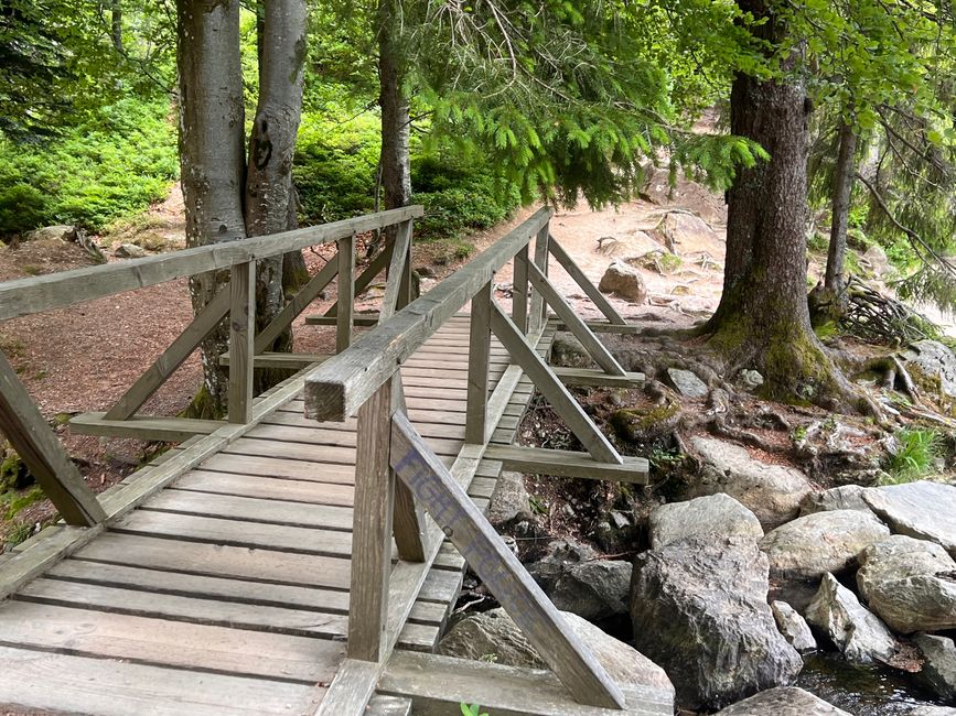 26 Feldbergsteig Escursione Pro Wolermoos