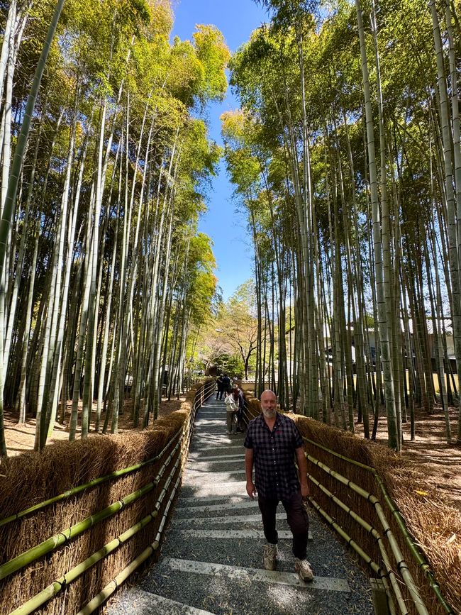 Part 8 Japan 🇯🇵 Kanazawa