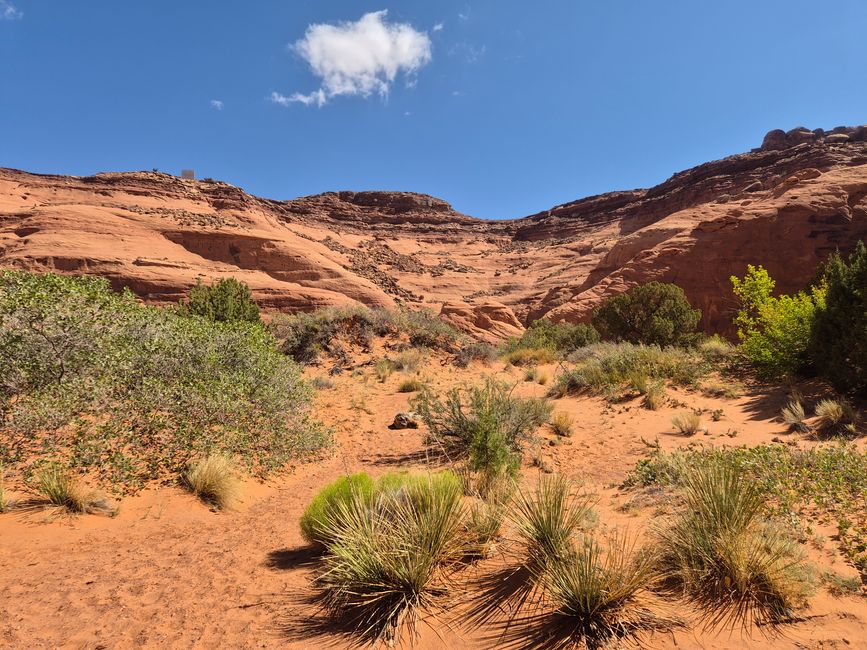 Chemin vers le Monument Valley