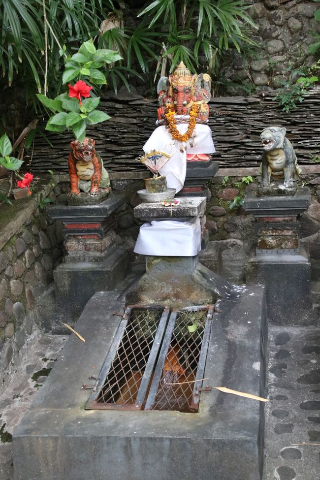 Etiqueta 10: Templo y agua