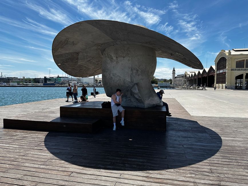 Valencia - Architektur zum Niederknien