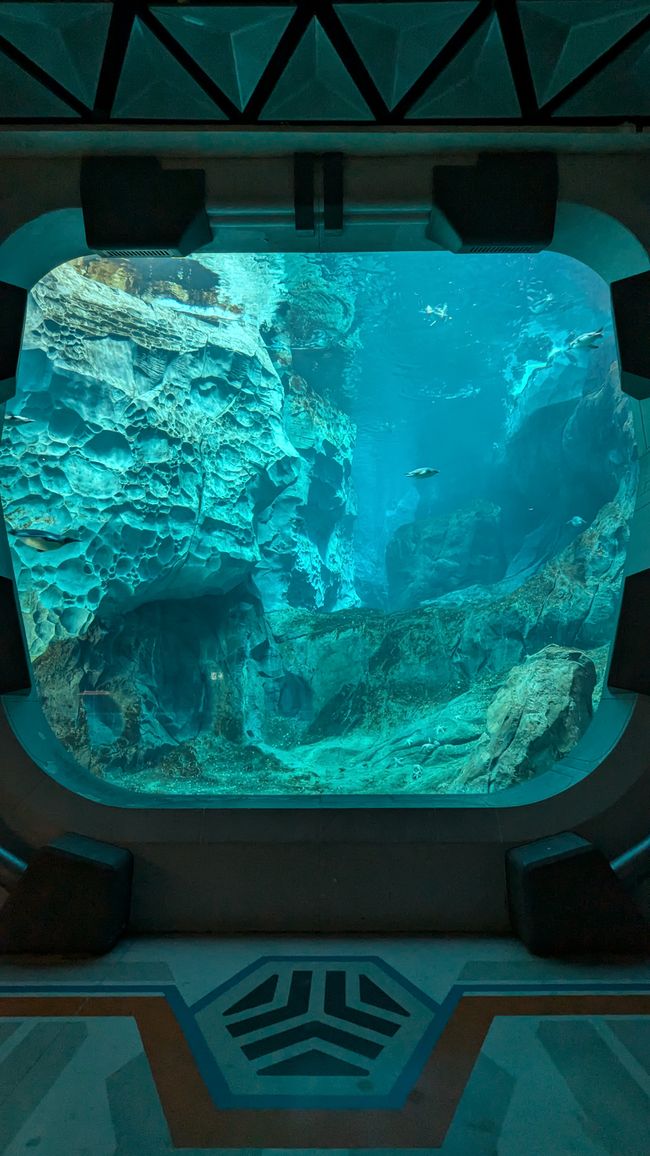 标签 7 (2024) 迪拜海洋世界与雅斯湾