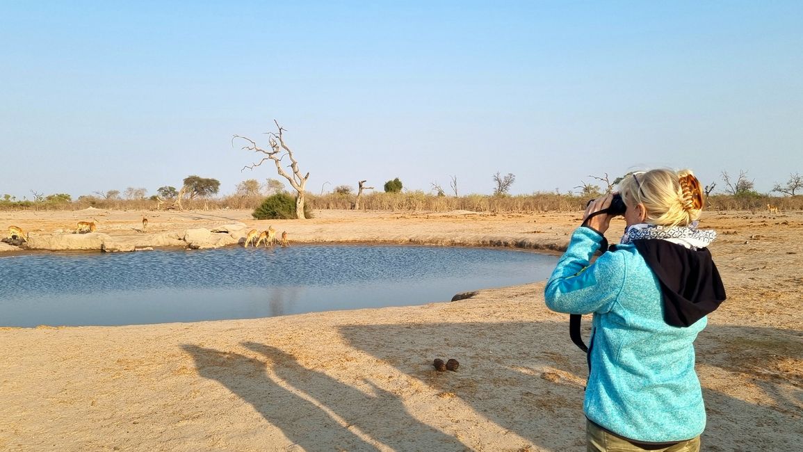 Simbabwe / Botswana 2024