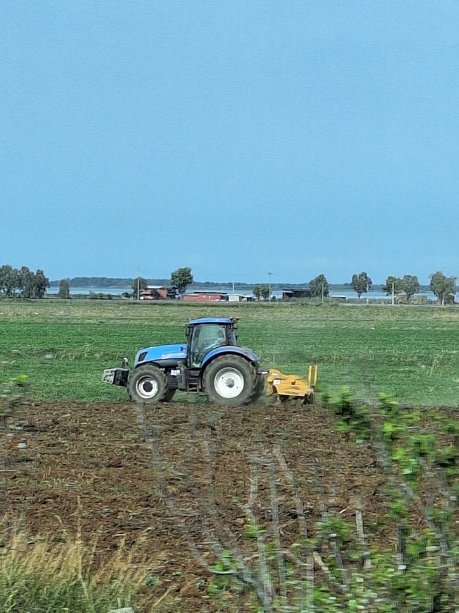 Los campos