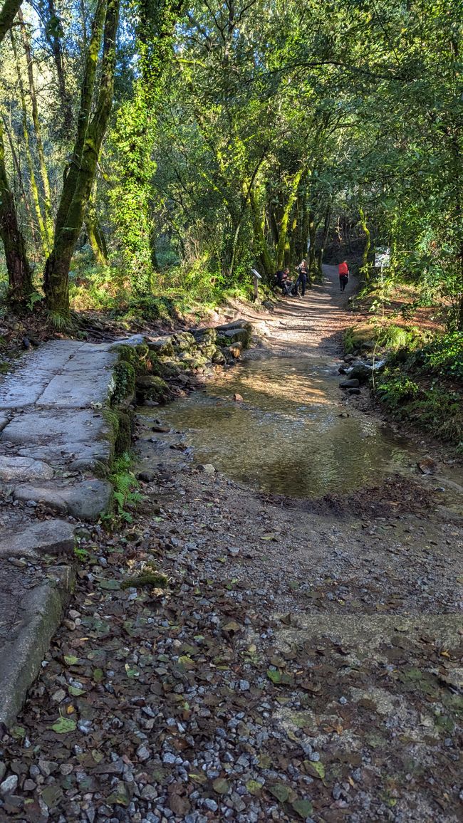 Elfte Etappe Camino Portugues von Pontevedra bis nach Caldas de Reis