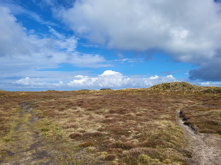 Wanderung beim Leuchtturm Lodbjerg