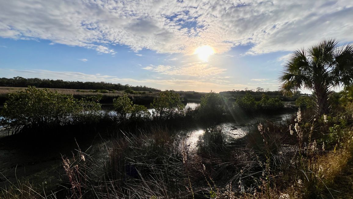 Tag 381 - Crystal River