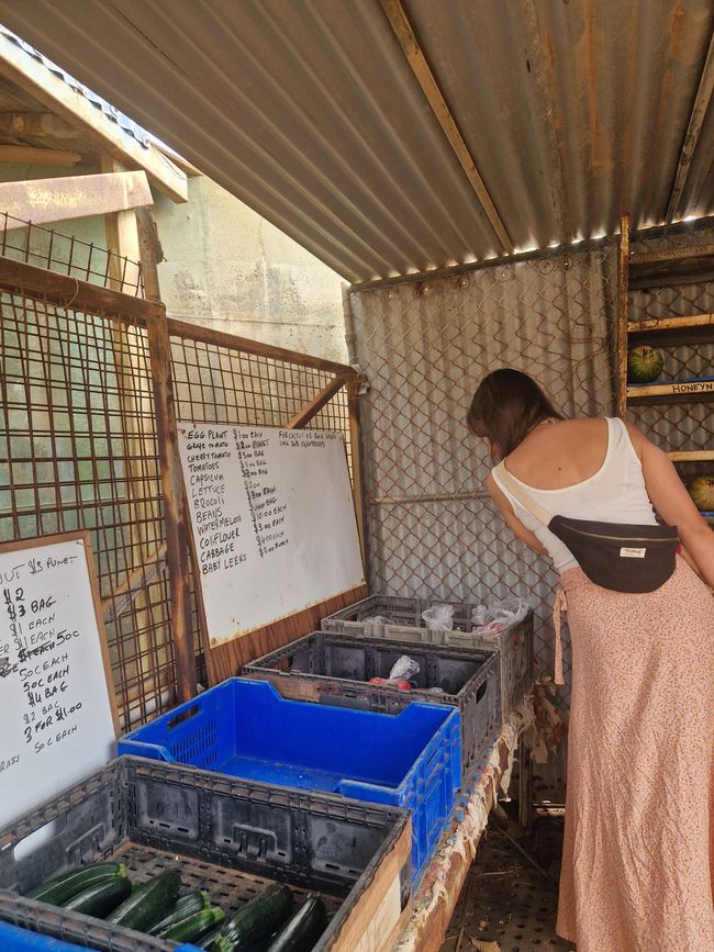 Viviane admiring and buying fresh fruits and vegetables.