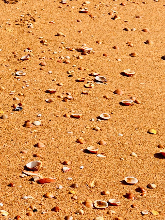 Ein Tag am Meer: Strandspaziergang in Albufeira