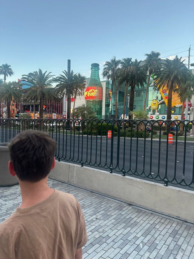 Viva Las Vegas