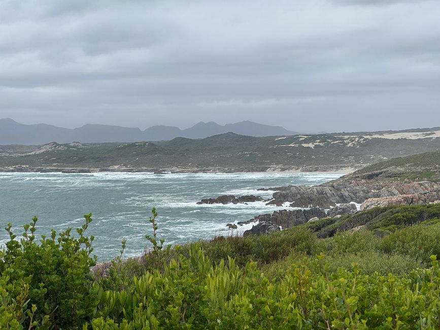 Gansbaai