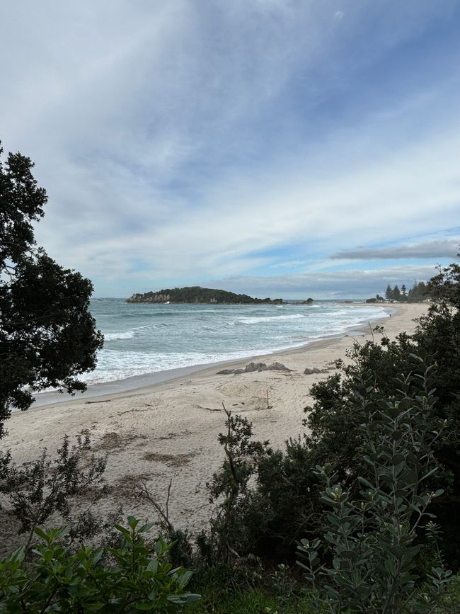 Blick auf den Strand in Mount Maunganui