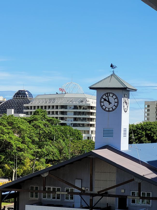 Día 103 de 175: Crucero alrededor del mundo - Cairns/Australia