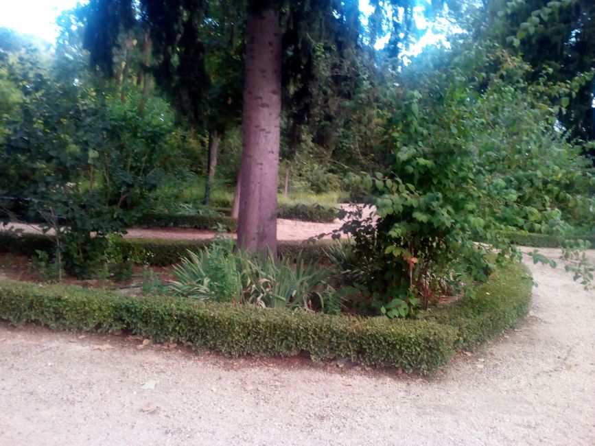 Fotos von Huéscar (Granada) (August 2021) (Teil 1)