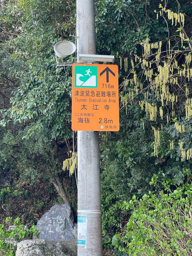 Cartello di avviso tsunami