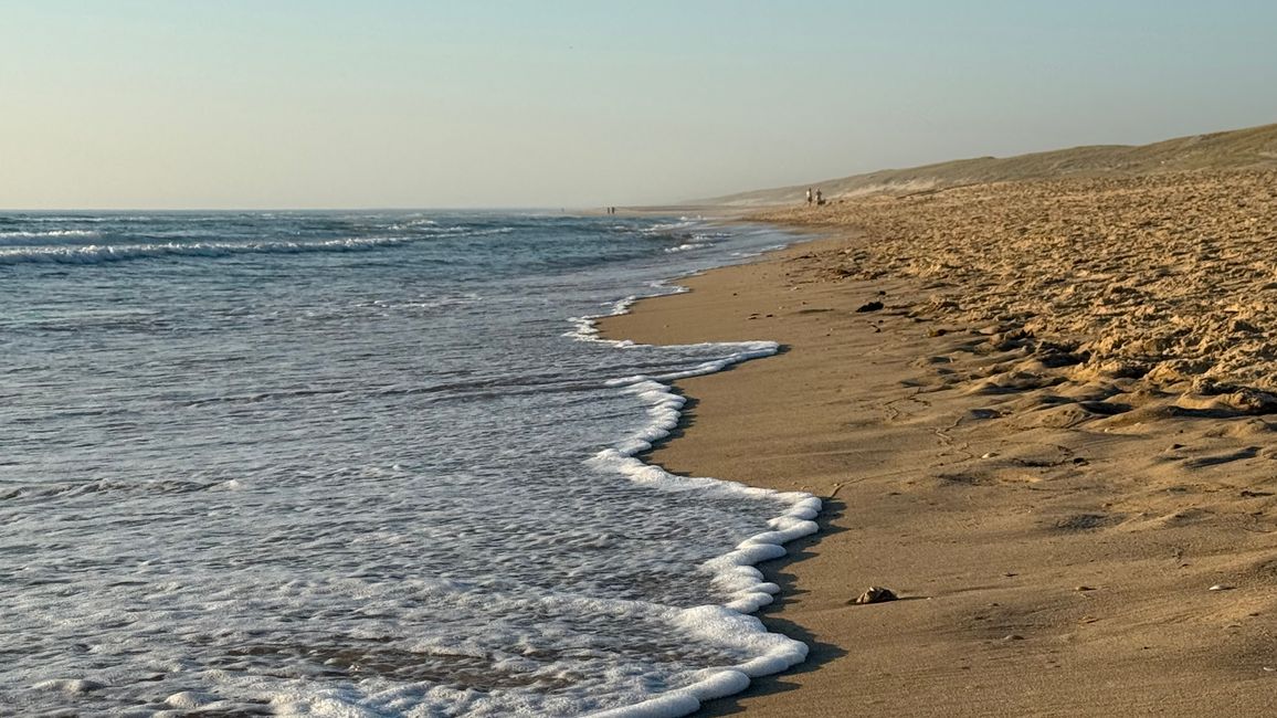 Cap Ferret