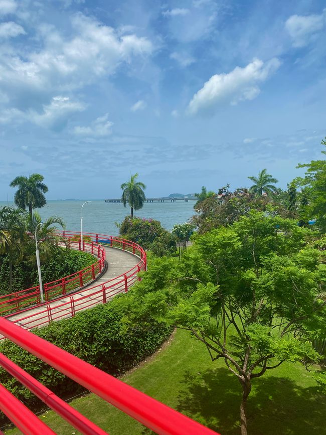 Panama 🇵🇦 🌴