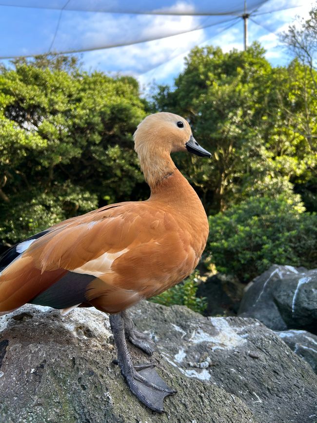 湘崎海岸小径