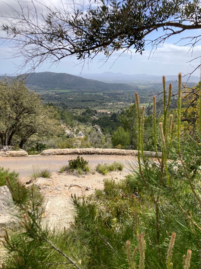 À vélo de Binissalem au Château d'Alaro
