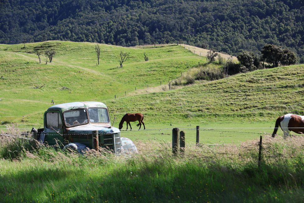 Auf nach Paradise zu "Herr der Ringe"