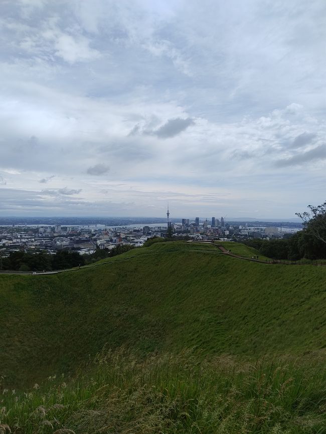 Hügel über Auckland 