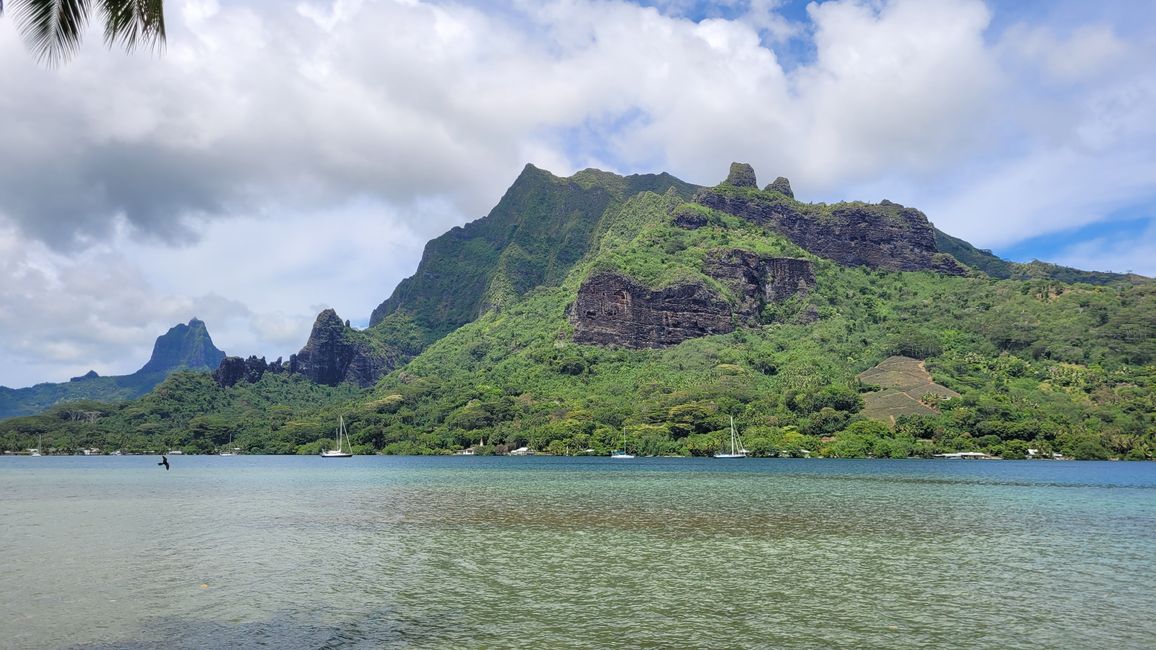 Mo’orea – impresionantes cumbres montañosas nos reciben