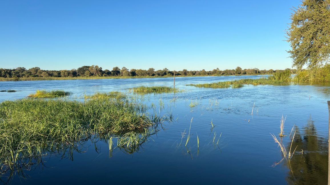 Am großen Fluss - Okawango
