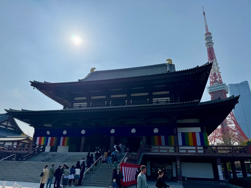 Parte 7
BENVENUTO IN GIAPPONE 🇯🇵
TOKYO