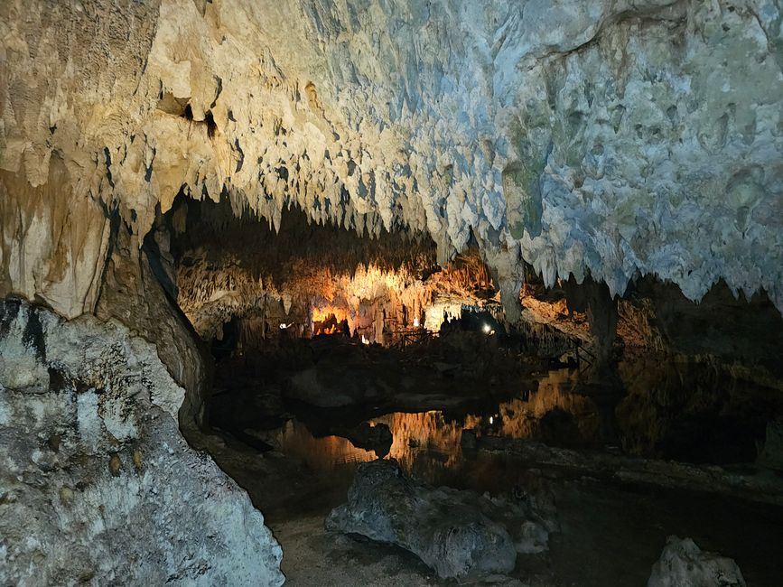 Turtles and Cenotes