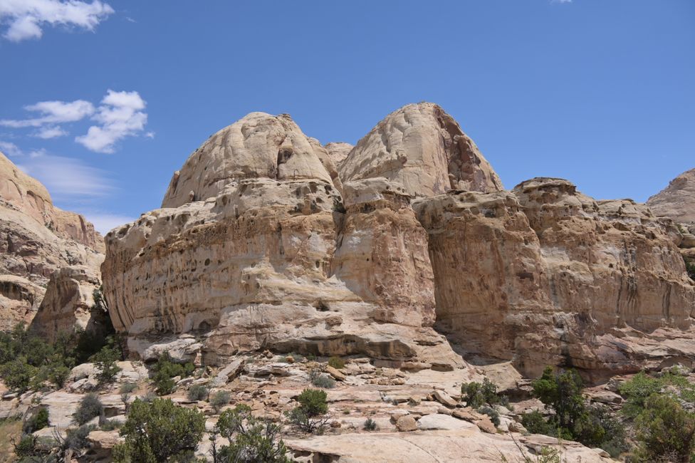 Capitol Reef NP - At Hickman Bridge