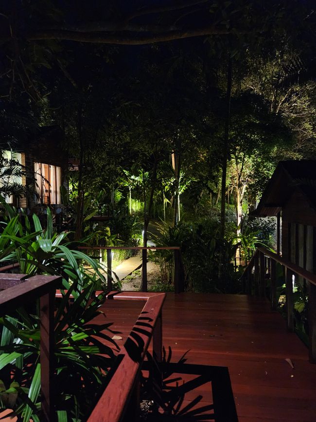 Koh Samui在65岁时