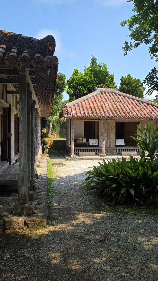 Okinawa Nuchi du takara (La vita è ciò che ci sta a cuore)