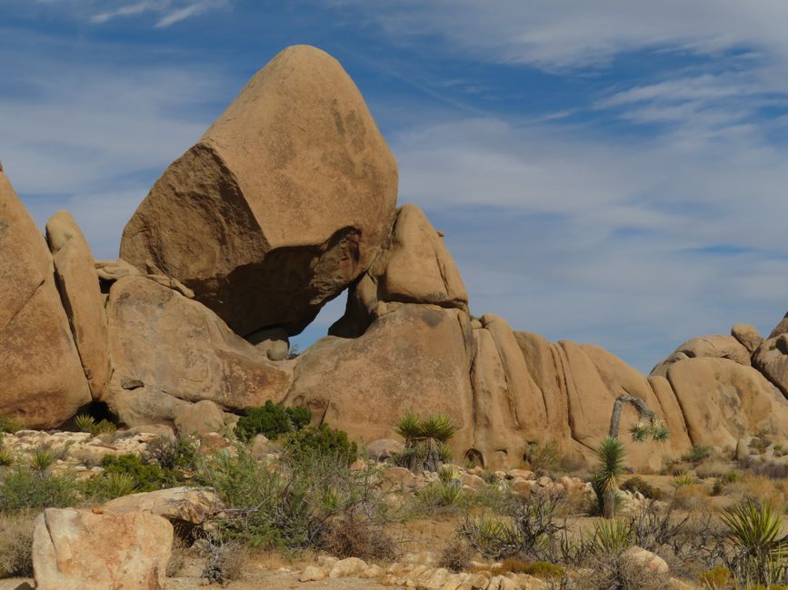 Joshua Tree National Park