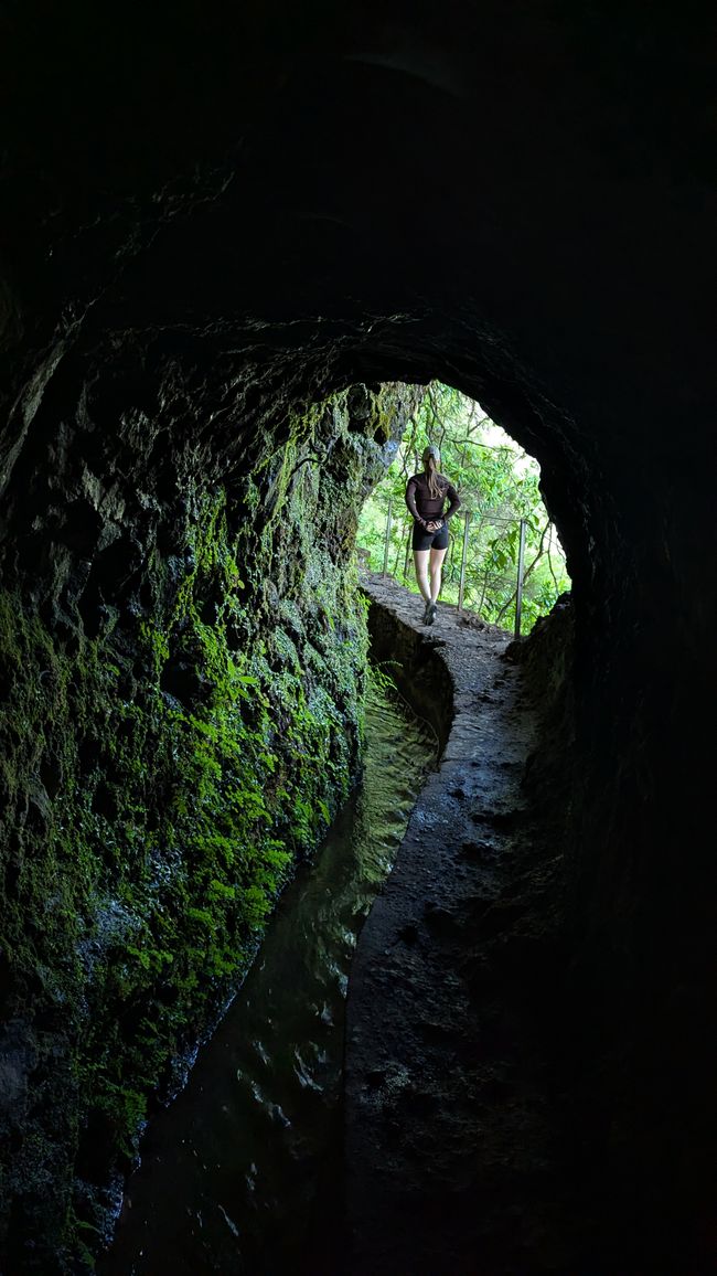 Tag 14: Levada do Caldeirão Verde & Nordküste