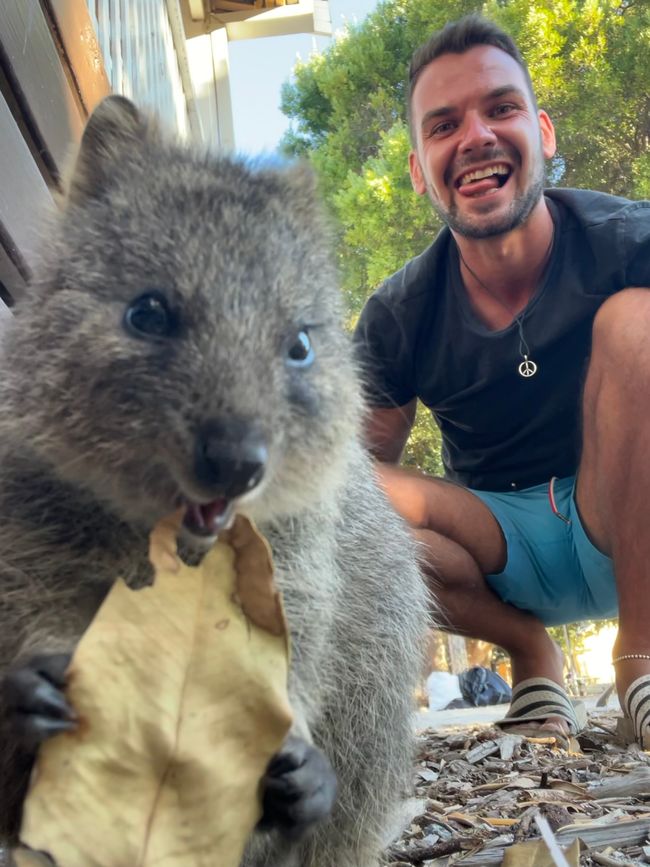 15.03.2025-26.03.2025 / Perth