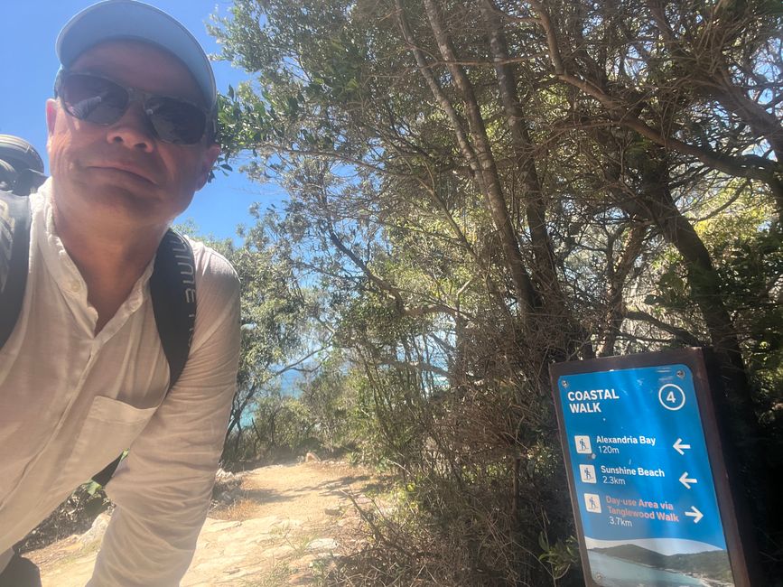 Noosa Nationlparl:Costal Walk  