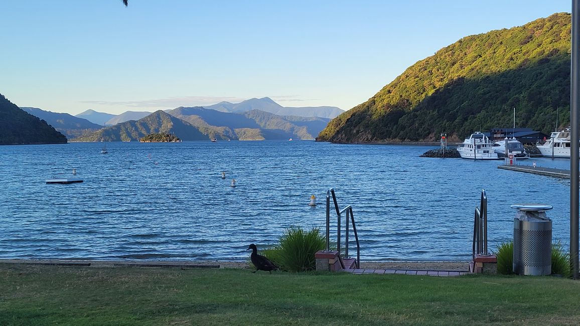 29.Januar-27.Februar 2025 Neuseeland
16.Februar
