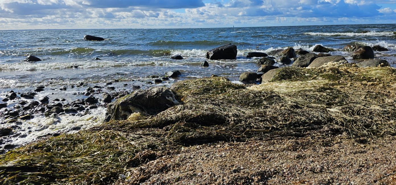 Rügen - hier Klein Zicker